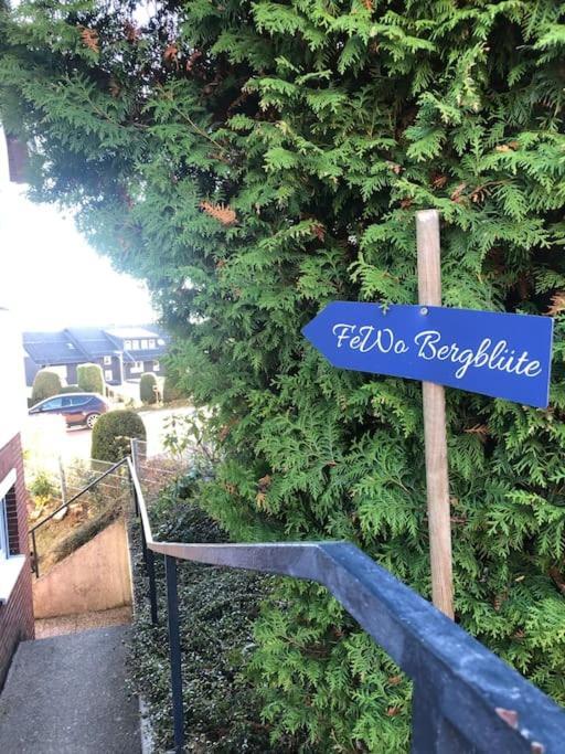 Ferienwohnung Bergbluete Braunlage Εξωτερικό φωτογραφία