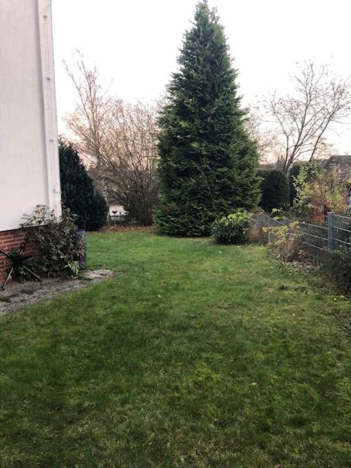 Ferienwohnung Bergbluete Braunlage Εξωτερικό φωτογραφία